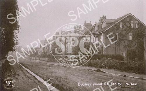 spc00141: Bushey Wood Rd, Totley